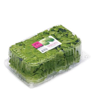 China Recyclable High Quality Disposable Plastic Vegetable And Fruit Salad Container for sale