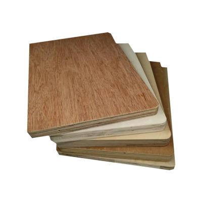 China Glue 5mm Bintangor Modern High Quality Plywood WBP Waterproof Commercial Plywood for sale