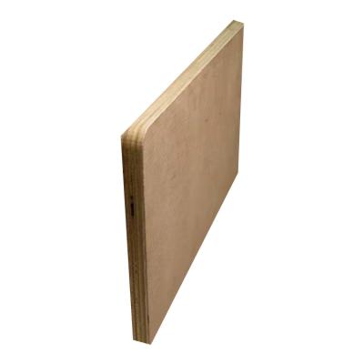 China Modern High Quality Plywood Sheet Bintangor Birch Okoume Pine Plywood for sale