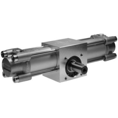 China Industrial AVENTICS Series TRR Rotary Cylinder With Adjustable Angle TRR – 0822931206 for sale