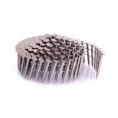 China Flat High standard Smooth Shank Q195 roofing coil nails for Building Construction stainless steel 316 coil roofing nail 19mm-45mm for sale