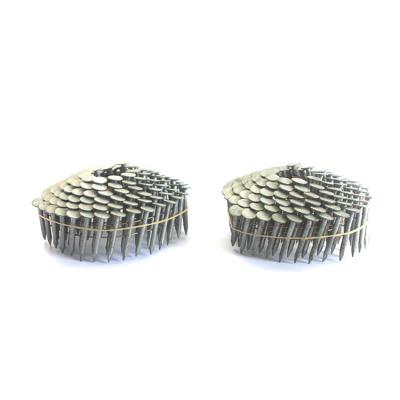 China Flat High standard 1 1/4 flat Q195 coil for nails Smooth Shank stainless steel 304 316 coil roofing nail 19mm-45mm for sale