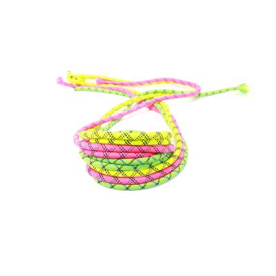 China Professional Supplier Comfortable Reflective Polyester Cord Braided Rope For Walking Dog for sale