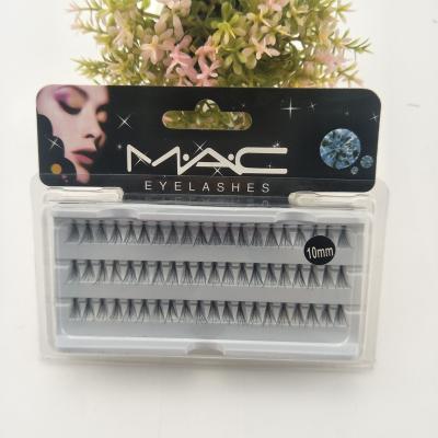 China 10mm Segmented Lashes Single Cluster False Eyelashes Custom Eva Foam Lash Natural Fluffy Private Label Diy Lash Extension Box for sale