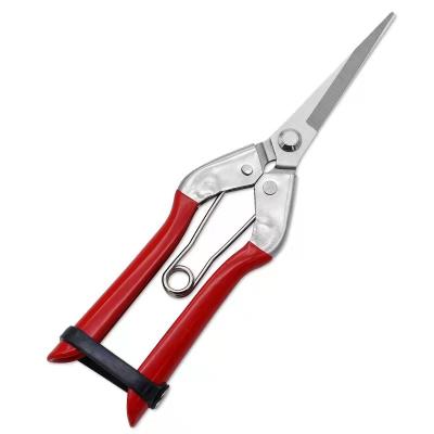 China branch steel scissors for sale