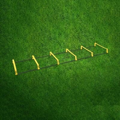 China Agility Speed ​​Obstacle Football Soccer Training Equipment Professional Set Foldable Obstacle Agility Steps Agility Ladder for sale