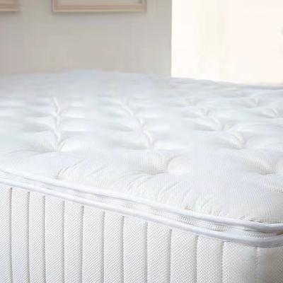 China 2021 New Style Removable Twin Cover Aloe Vera Memory Foam Waterproof Mattress Topper for sale