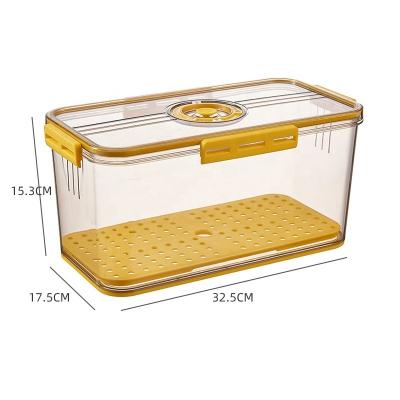 China Original Kitchen Fridge Freshness Preservation Plant Fridge Bins Refrigerator Plastic Storage Box for sale