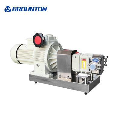 China SS316 Pump 2021 New Promotion High End Technology Manufacturing 110v Electric Rotor Pump for sale