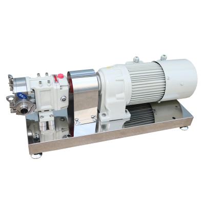 China Stainless Steel Can Order To Ship Stainless Steel Honey Ice Cream Pump Health Food Rotary Cam Pump for sale