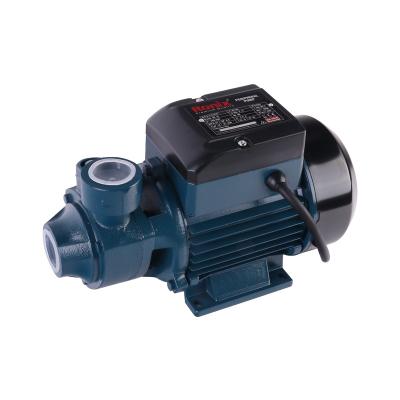 China Ronix RH-4020 Wholesale Pump 0.5HP 1HP Cooper Electric Motor Peripheral Water Pump for Family Houses for sale