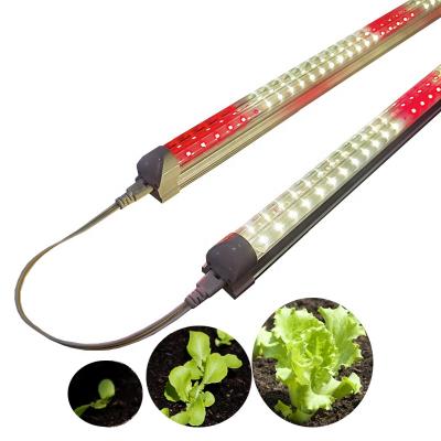 China Seed starting blue red low power consumption t8 spectrum tube led to grow light for sale