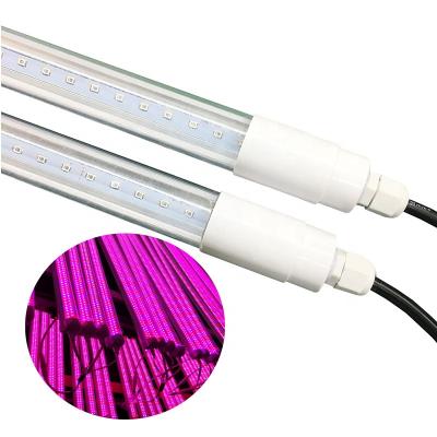 China Seed starting high quality t8 60w 80w 120cm blue / 395nm red 800nm ​​led grow tube light for sale