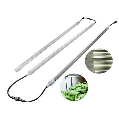 China Seed starting ip65 60cm 4 ft 4ft t8 t5 white full spectrum led grow tube for sale