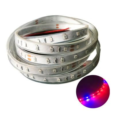 China Seed starting cheap china 24 volt 2835 24w smd 3535 led to grow to strip spectrum to grow light for sale