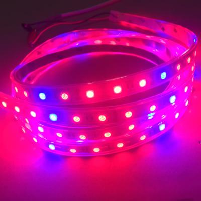 China Seed Starting Grow Light Led Strip Grown Holland Par Led To Grow Light 12v DC for sale