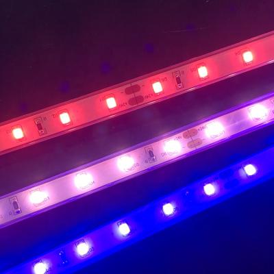 China Seed Starting Grow Led Strip To Grow Light Led Strip For Mushroom Greenhouse for sale