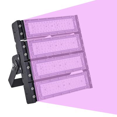 China Seed starting 240w 300w 450w 600w 650w 1000w china spectrum led grow light for plant breeding for sale