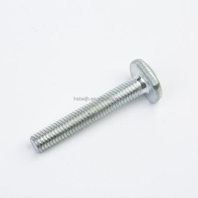 China General Industry Sep Bolts Stainless Steel T Bolt Super T-Head Screws for sale