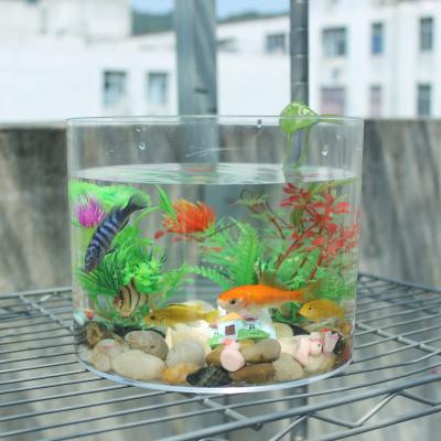 China NAXIALI aquarium acrylic fish tank elegant transparent acrylic viable aquarium fish tank upgrade for sale