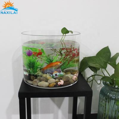 China NAXILAI Small Viable Clear Acrylic Mini Aquarium Cylindrical Acrylic Aquarium for sale