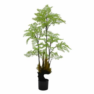 China Natural artificial indoor decoration simulation plants direct sale plant explosion positive contact fern tree for sale