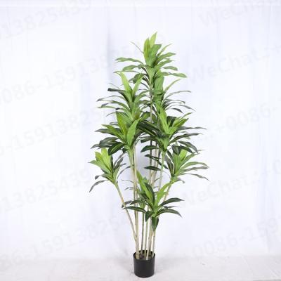 China Indoor Home Decoration Artificial Plants Trees Indoor Decoration Plastic Dracaena tree for sale