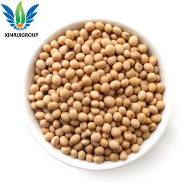 China Good Emulsifying Non-GMO Soy Soy Dietary Fiber For Tomato Sauce 95 Min for sale