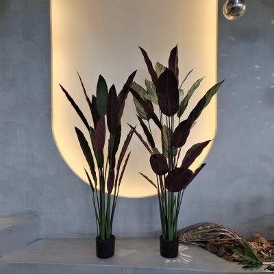 China Árvore de Dieffenbachia Artificial para decoração interna e externa à venda