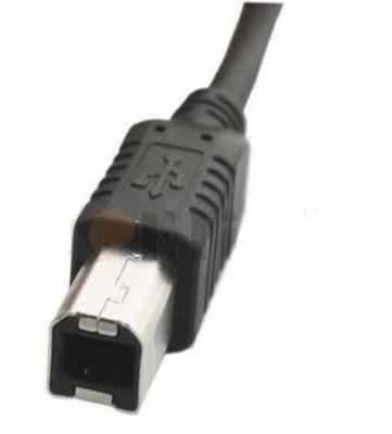 Κίνα Ένα αρσενικό στο αρσενικό USB καλώδιο 480Mbps μεταφοράς δεδομένων Β για τους ανιχνευτές εκτυπωτών προς πώληση