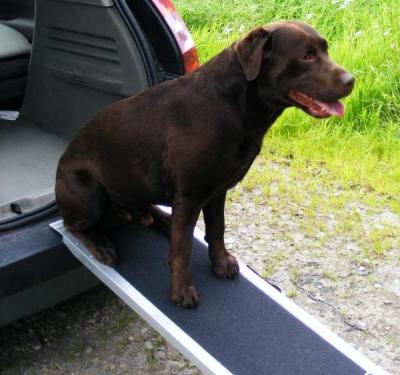 China Dogs Aluminum Dog Stairs Ramp for sale