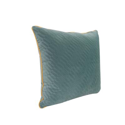 China 2021 Anti-bacteria noble style sofa cushion sofa pillow in light bule for sofa and bed for sale