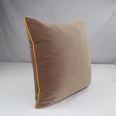 China Anti-bacteria Wholesale Latest Home Sofa Pillow Single Custom Pillow Cushion for sale