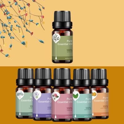 China Hot Selling 100% Pure Natural Aromatherapy Essential Oil Rose Lavender Tea Tree Eucalyptus 6 Orange Mint Scents Set With Gift Box for sale