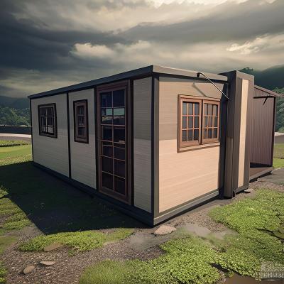 China Mid Century Modern Factory Direct Sale Insulated Strong Frame Modular House Expandable Container Homes for sale