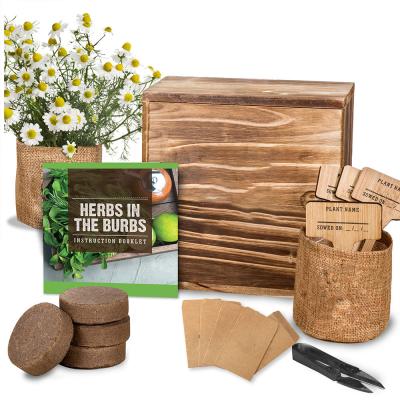 China Herb Garden Starter Kit Indoor Pastoral - Plant and Soil Markers and Pots with Wooden Box as Gardening Gifts for sale