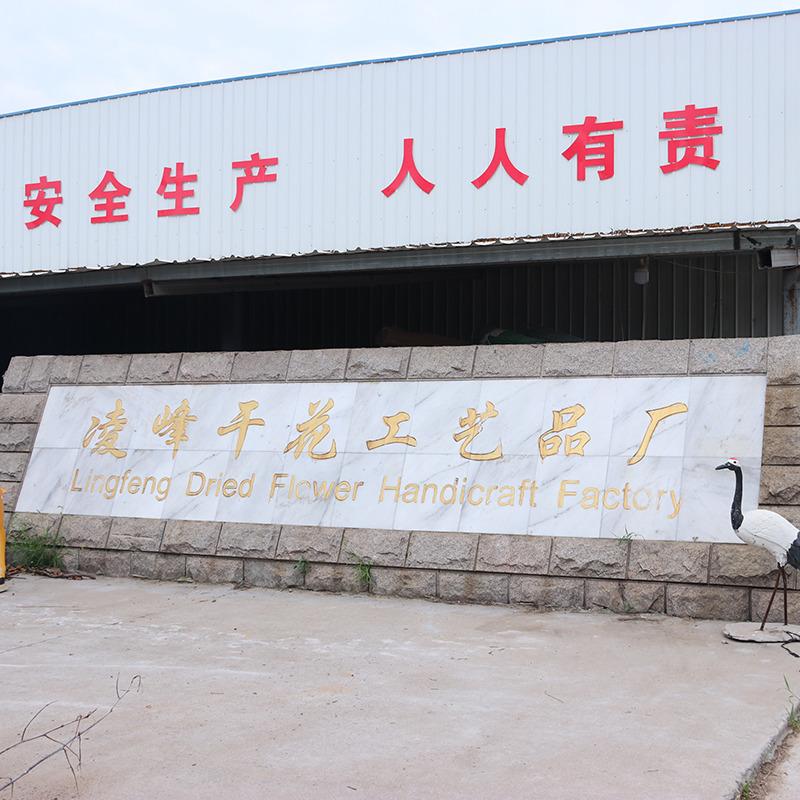 Verified China supplier - Shuyang Xinhe Town Lingfeng Driedflower Handicraft Factory