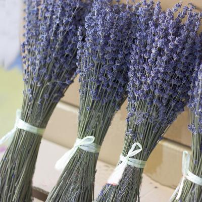 China 100g dried natural flower bouquets dried natural lavender flower bouquet&lavender flower ties about 60cm for sale