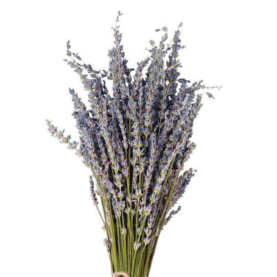 China 100g natural lavender bouquet immortal fresh dried home ministry banquet wedding decoration DIY decoration about 60cm for sale