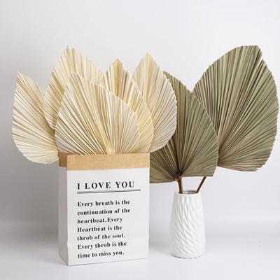 China Wholesale palm tree natural color dried palm leaves for decoration about 50cm piece for sale