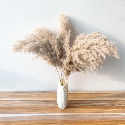 China Dried Flower Bouquet By Touch Natural Reed Dried Flower Bouquet Living Room Decoration Hotel Scene Original Layout for sale