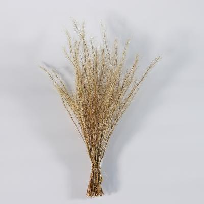 China Natural Touch Living Room Decoration Dried Flowers Home Decorations Small Fresh Dried Flower Arrangement Ornaments for sale