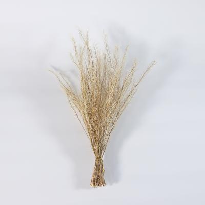 China Customizable New Natural Touch Bedroom Artwork Ornaments Grass Dried Flower Crafts Wholesale for sale