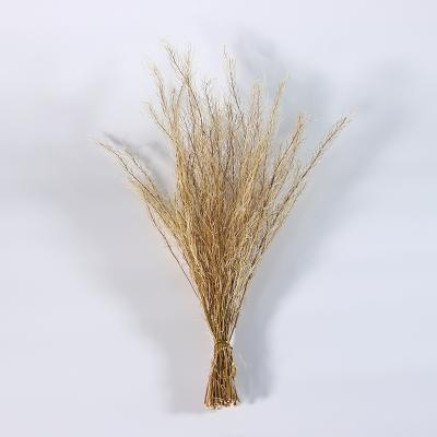 China Natural Original Customizable Touch Herb Dried Flower Wholesale Dried Flower Crafts Living Room Decoration for sale