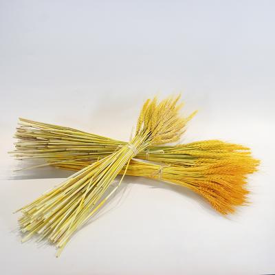 China Natural natural touch wheat ears and dry flower living room pastoral decoration ornaments flower arrangement shooting props for sale