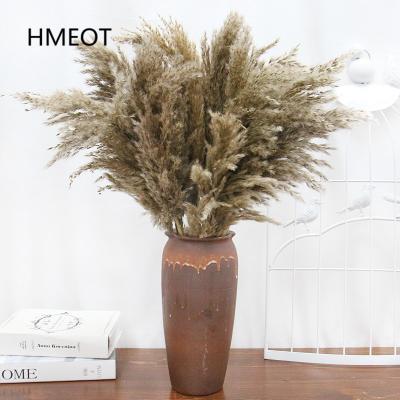 China Natural Dry Flower Pampas Grass Natural Feathery Stipe Phragmites Group Materials Reed Plants Flower Bouquet Home Decor Wedding for sale