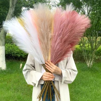 China 100cm Natural Dry Home Flower Pampas Grass Decoration Plant Simulation Reed To Holiday Wedding Artificial New Year Vase DIY Bouquet for sale