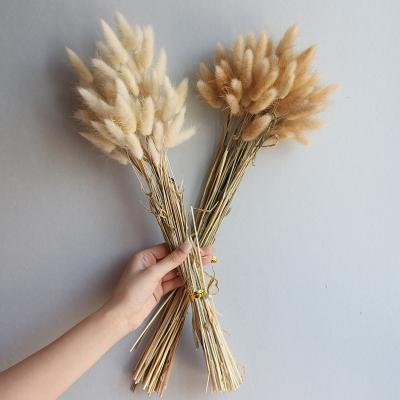 China Natural Touch Hot Selling Dried Flowers Suitable For Wedding Home Decoration Original Customizable Wholesale Dried Tubular Flowers for sale