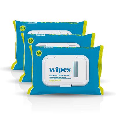 China Flushable Wholesale Price Individually Bundled Single Bag Cleaning Wipes for sale