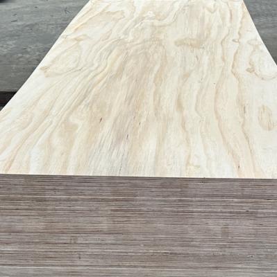 China Modern construction grade pine construction1220x2440x18mm CDX shuttering structural plywood for sale